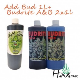 Budrite A&B With Add Bud  (Free Shipping)