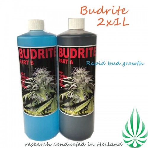 Budrite A&B With Add Bud  (Free Shipping)