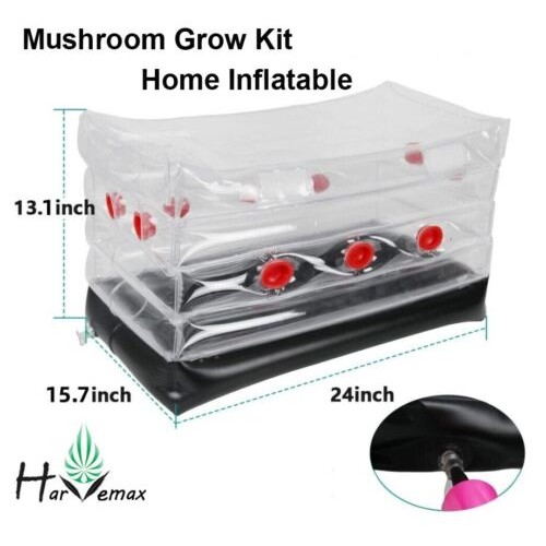 Inflatable Mushroom Grow Kit(free shipping)