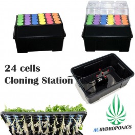 Seahawk clone station 24 cells (Free Shipping)