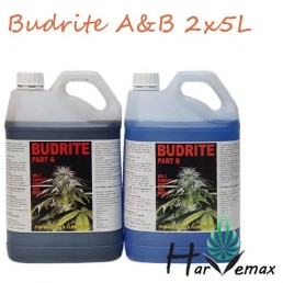 Budrite A&B 5L(Free Shipping)