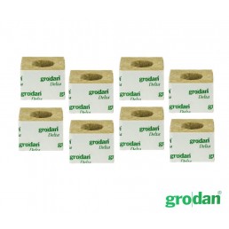 Box of Grodan Rockwool 75x75mm(384 pcs) with Hole/No Hole