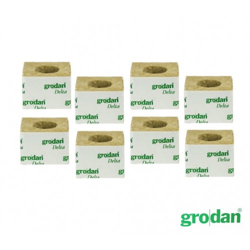 Box of Grodan Rockwool 75x75mm(384 pcs) with Hole/No Hole