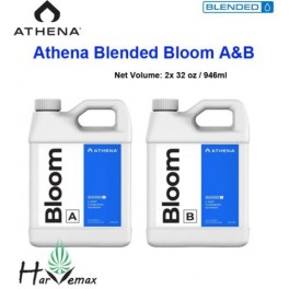 Athena Blended Bloom A&B  x32 oz 946 ml (free shipping)