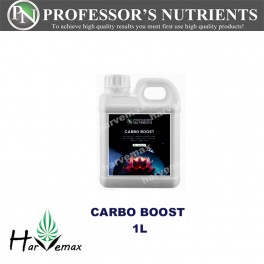 Carbo Boost 1L (Free Shipping)