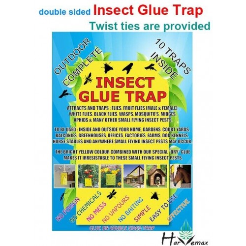 Insect Glue Traps  17X24cm 10pcs