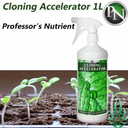 Cloning Accelerator 1L  (Free Shipping)