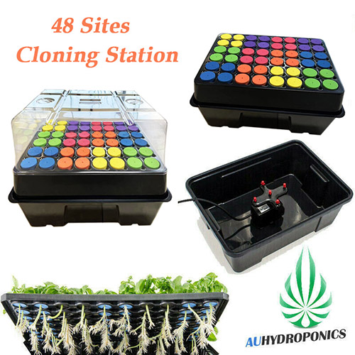 Seahawk AUTOMATIC CLONE STATION 24 CELLS (Free Shipping)