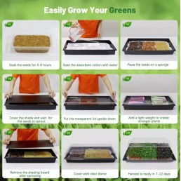 Microgreens Seed Germination Dome Tray Kit