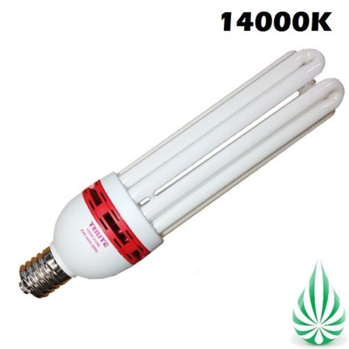 130W 14000K CFL Lamp (Free Shipping)