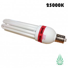 130W 25000K CFL LAMP (Free Shipping)
