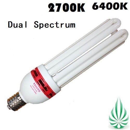 125w Dual Spectrum (2700K+6400K) CFL (Free Shipping)