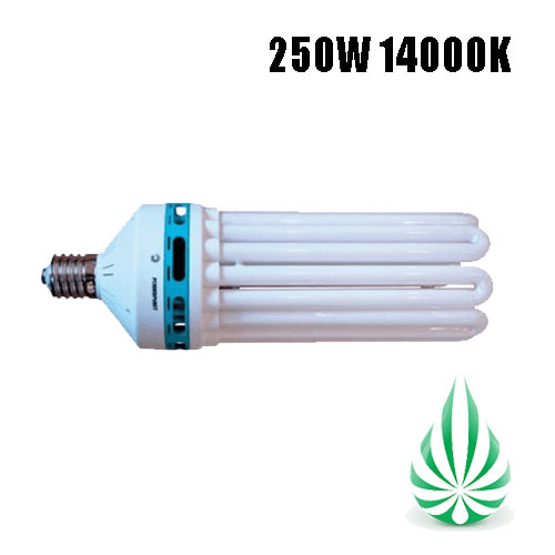CFL 250W 14000K LAMP (Free Shipping)