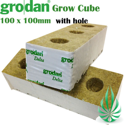Grodan Rockwool Block 100x100mm 10pcs (Free Shipping)