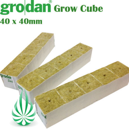 Grodan Rockwool Block 40x40mm (10 pics) Free Shipping