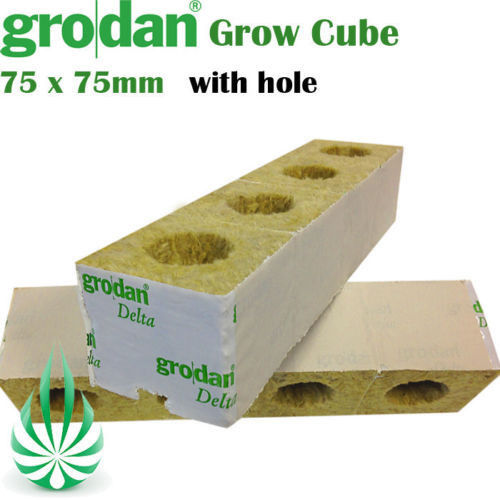 Grodan Rockwool Block 75x75mm(w/hole) (Free Shipping)