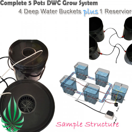 5pots X21L DWC Grow System (Free Shipping)
