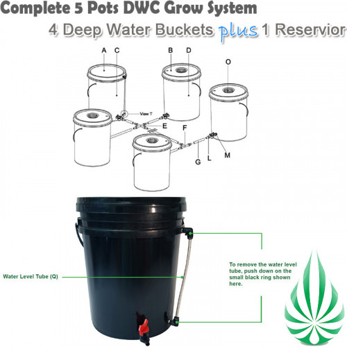 5pots X21L DWC Grow System (Free Shipping)