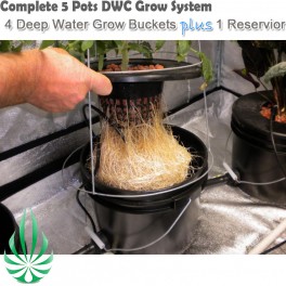 21Lx7 DWC Buckets Kit Grow System