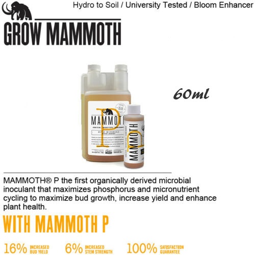 MAMMOTH P - 60ml / 120ml (Free Shipping)