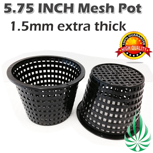 5.75" Mesh Pot(6pcs+) (Free Shipping)