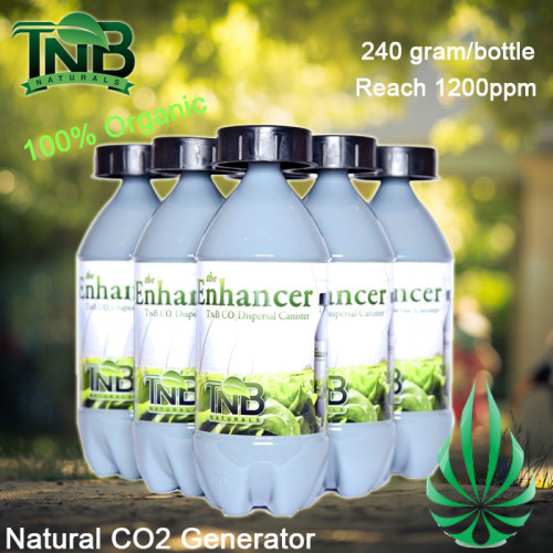 TNB CO2 Canister 240g