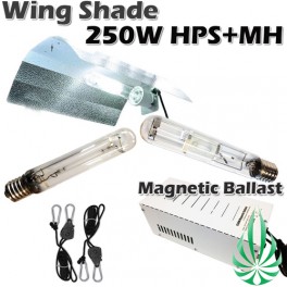 250W Wing Shade Lighting Kit (Free Shipping)