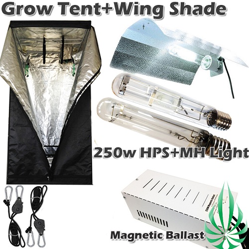 250W HPS&MH Tent Light Combo (Free Shipping)