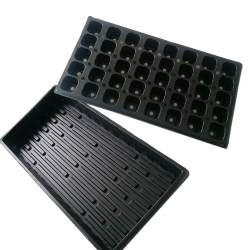 40 Cells Tray Kit (Free Shipping)